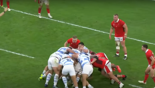 Wales v Argentina Hospitality – Rugby Autumn Internationals 2025