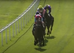 2025 Royal Ascot Trials Day Review