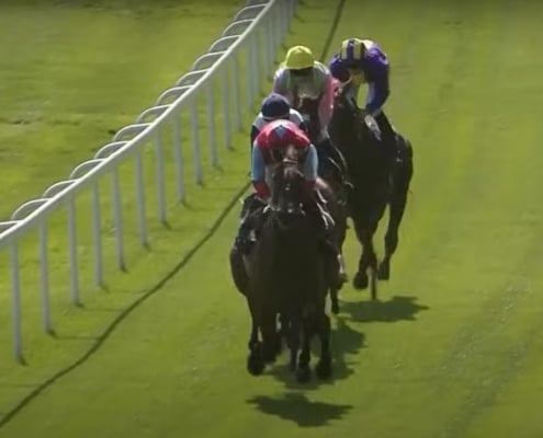 2025 Royal Ascot Trials Day Review