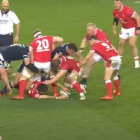 Wales v Scotland