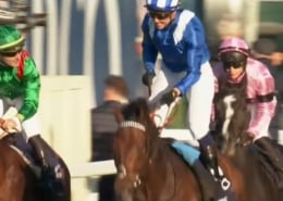 2025 QIPCO Champion Stakes Ascot