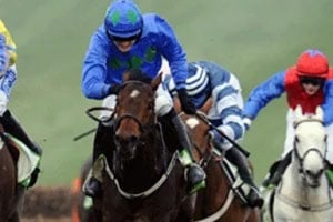 Cheltenham New Years Day Meeting