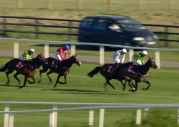 Punchestown Festival 2026 - Gold Cup