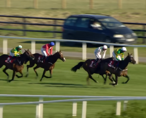 Punchestown Festival 2026 - Gold Cup