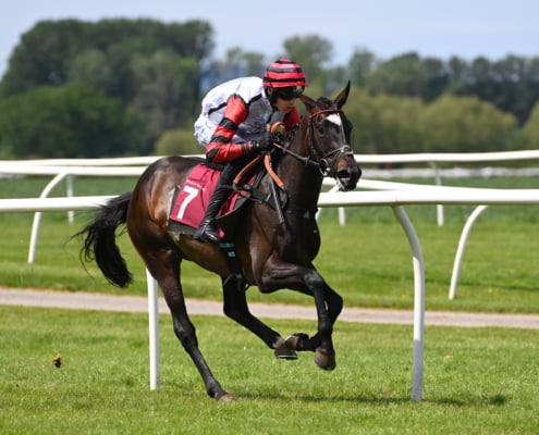 Ladies Day Winning