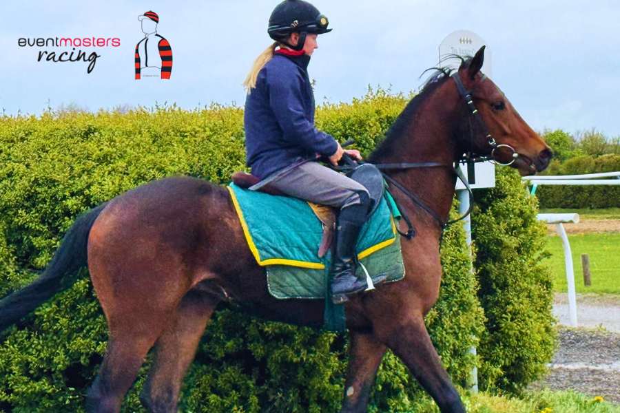 EM Racing New Filly Premium Seat