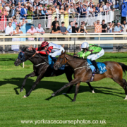 Vaguely Royal – EM Racing