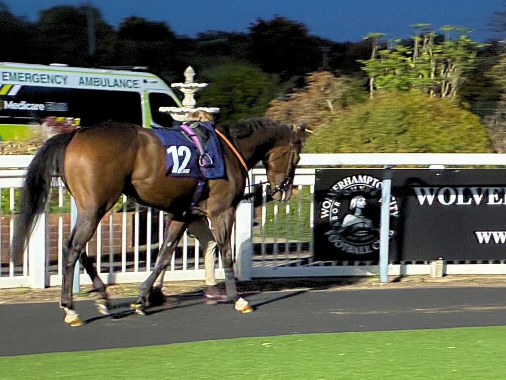 Eventmasters Racing Khachaturian at Wolverhampton