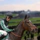 horse-racing-m